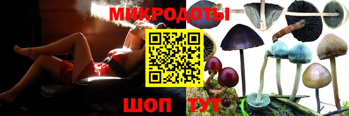 Галлюциногенные грибы GOLDEN TEACHER Дзержинский