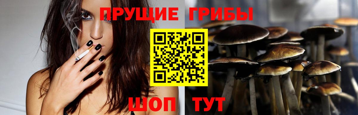 Галлюциногенные грибы Psilocybe  Вход с VPN  Дзержинский 