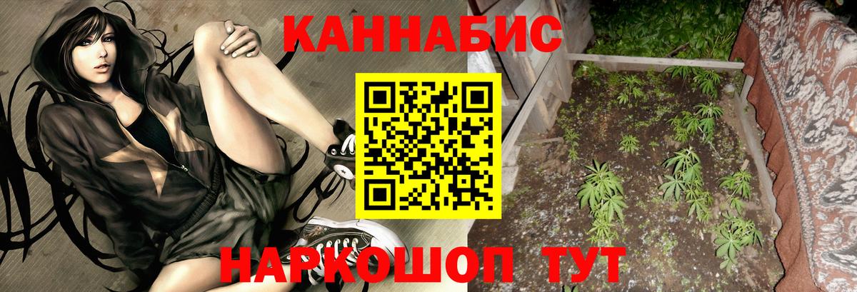 Бошки Шишки планчик Дзержинский